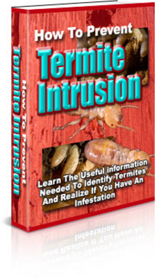 Product picture Learn How to Prevent Termite Intrusion